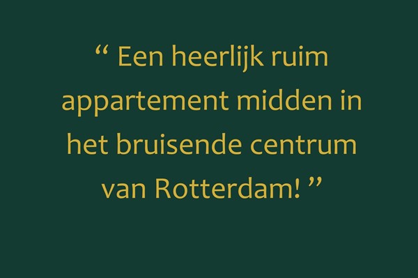 Medium property photo - Scheepmakerskade 46, 3011 VX Rotterdam